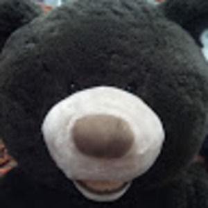 Meet your Posher, Yana